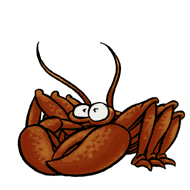 Horoscope 1eivt8ht