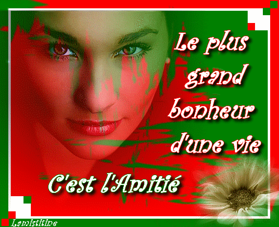 Plus la voiture moins membre