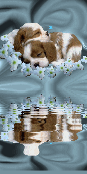 Image du Blog lamistitine.centerblog.net