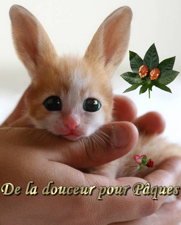 Kdo reçu de mon amie Roseric ... merci bcp