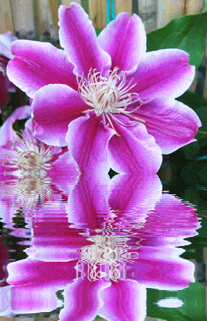 Image du Blog lamistitine.centerblog.net